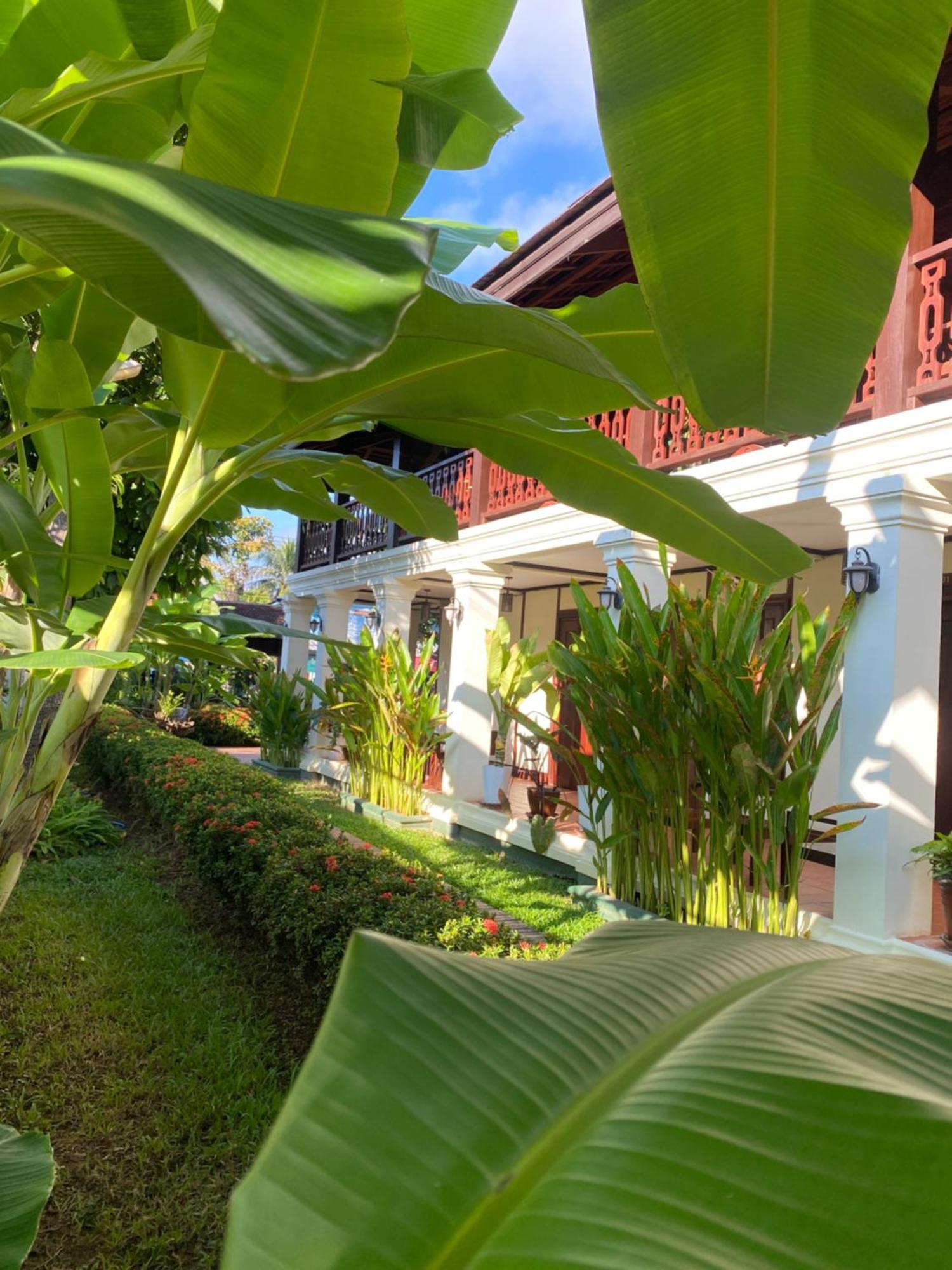 Luang Prabang Residence & Travel Bagian luar foto